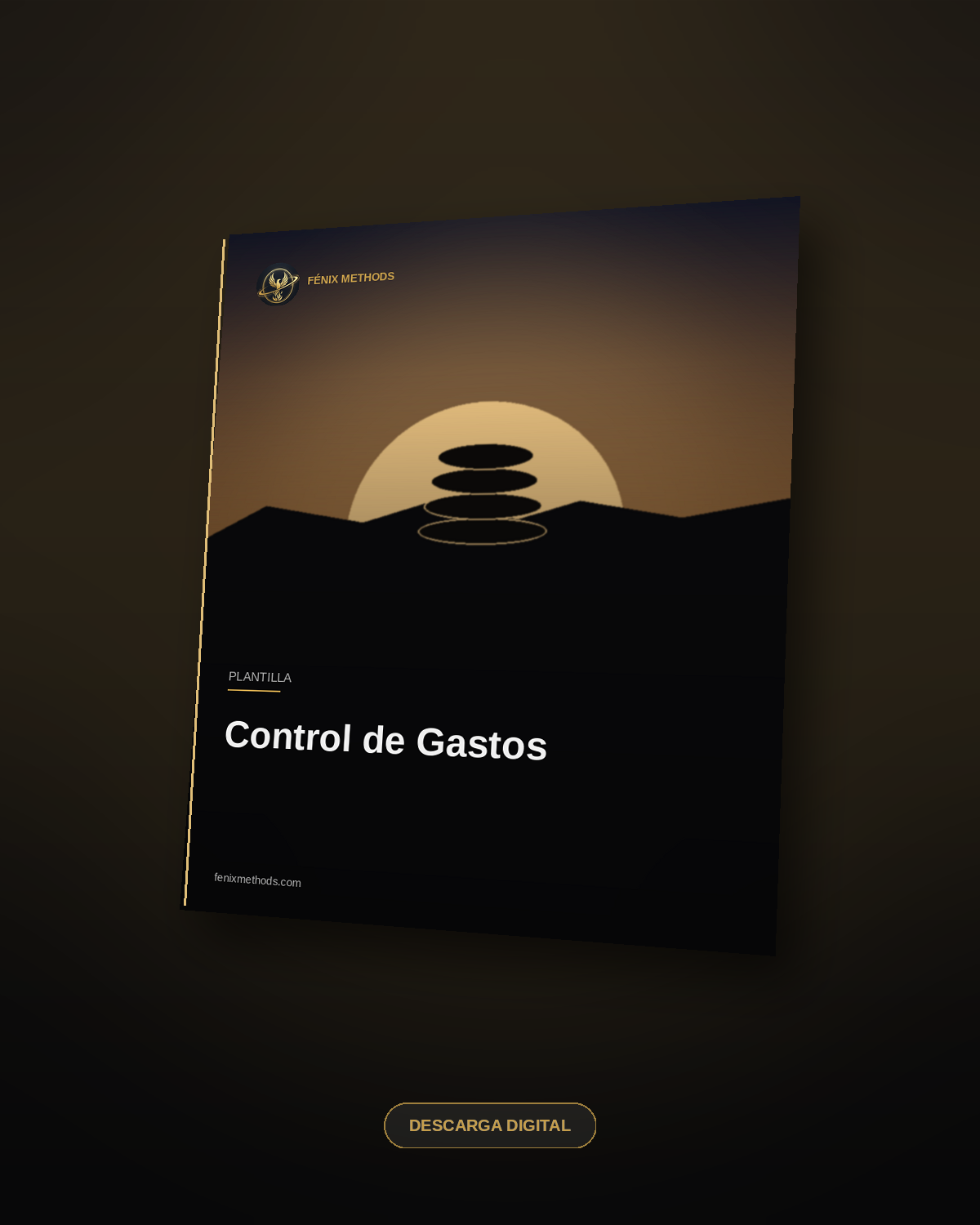 Control de Gastos