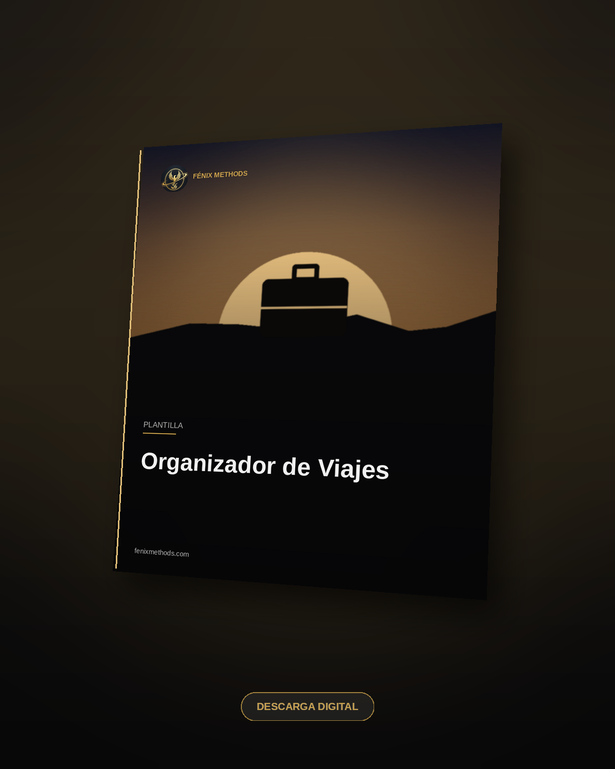 Organizador de Viajes
